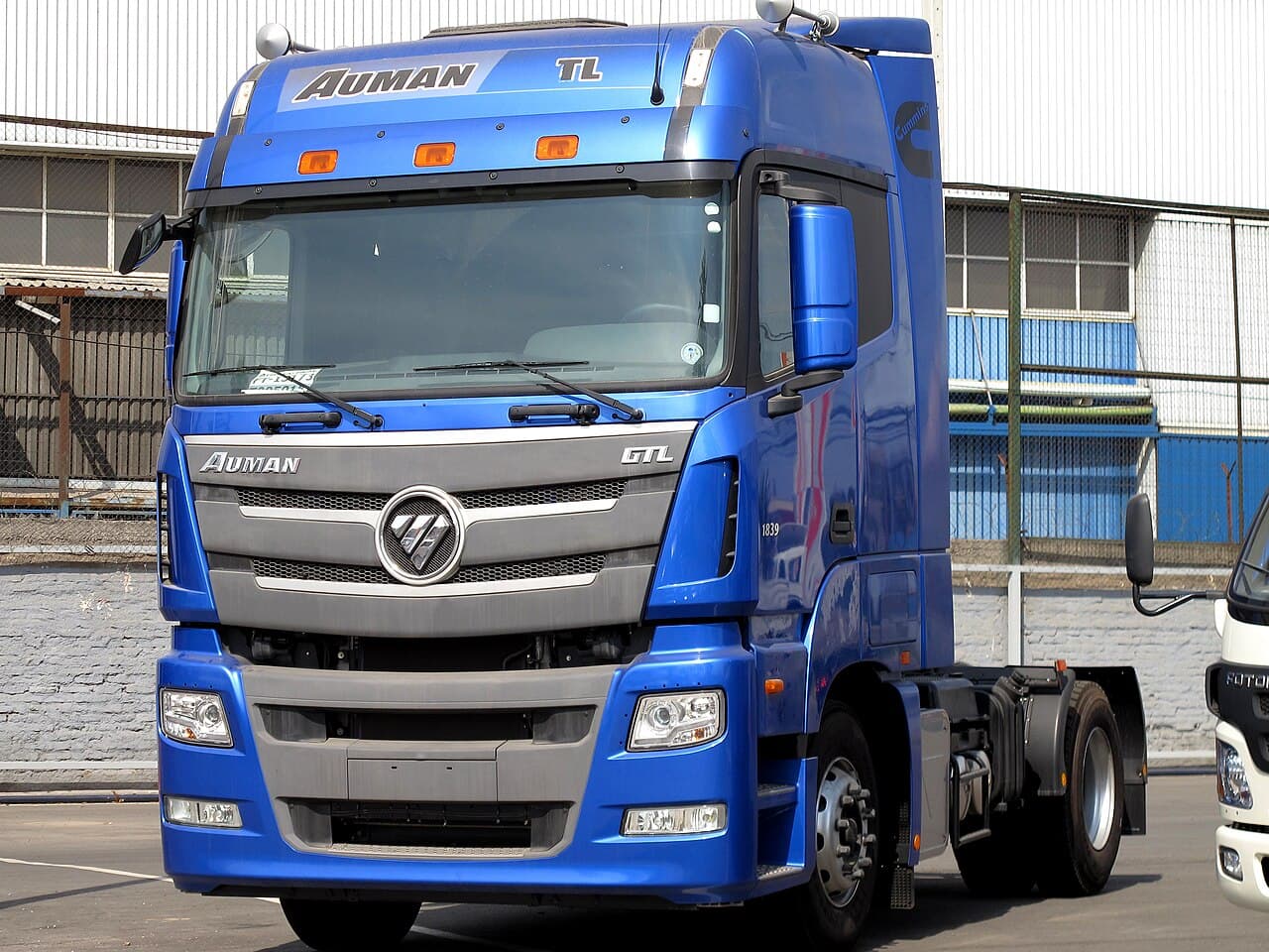 Foton BJ1069VCJEA-A 2008 (imagen sin verificar)