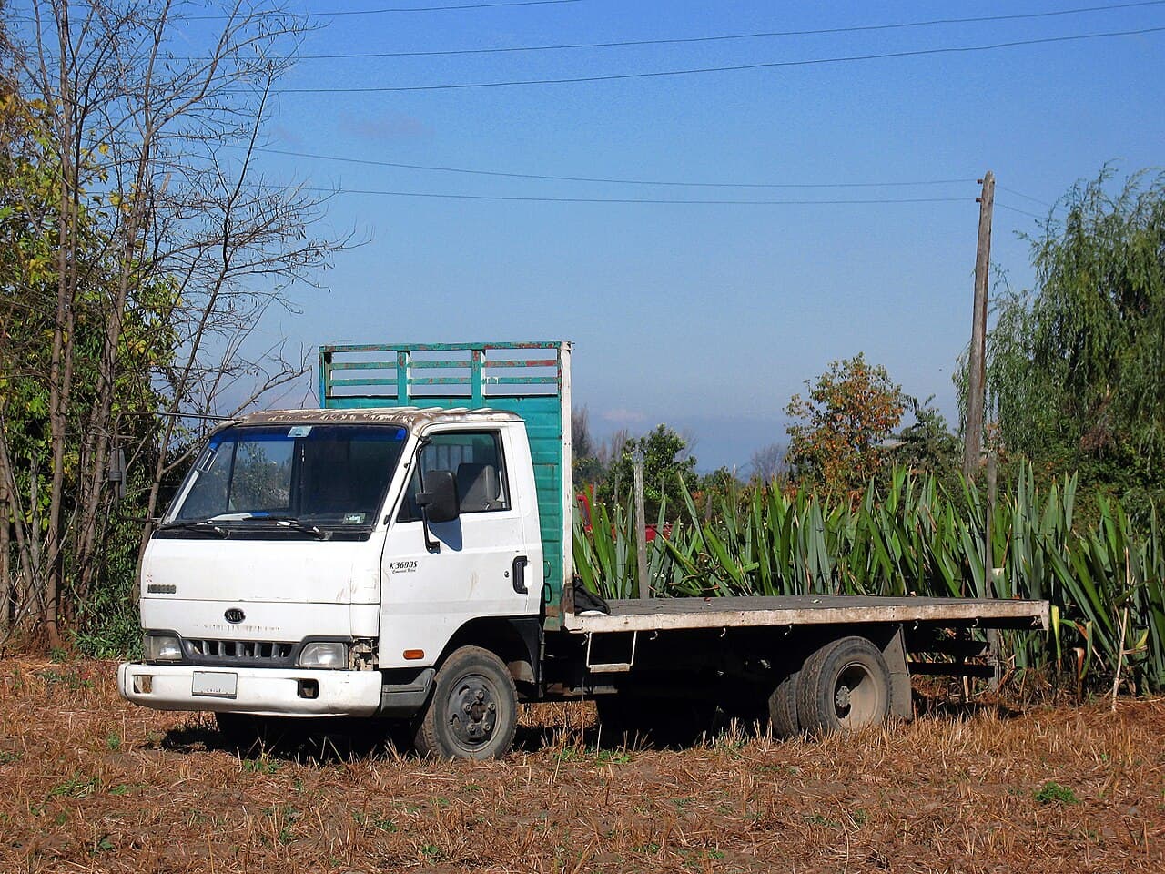 KIA K 3600 28S 2001 (imagen sin verificar)